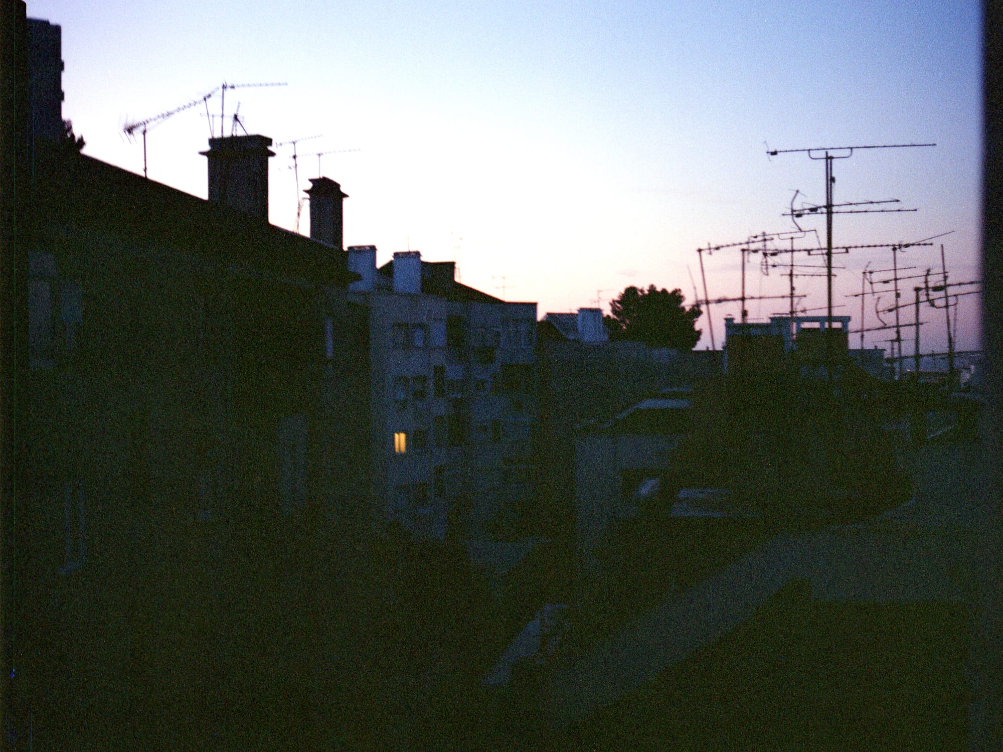 Rhythm and Roots: Reflections from Berlin