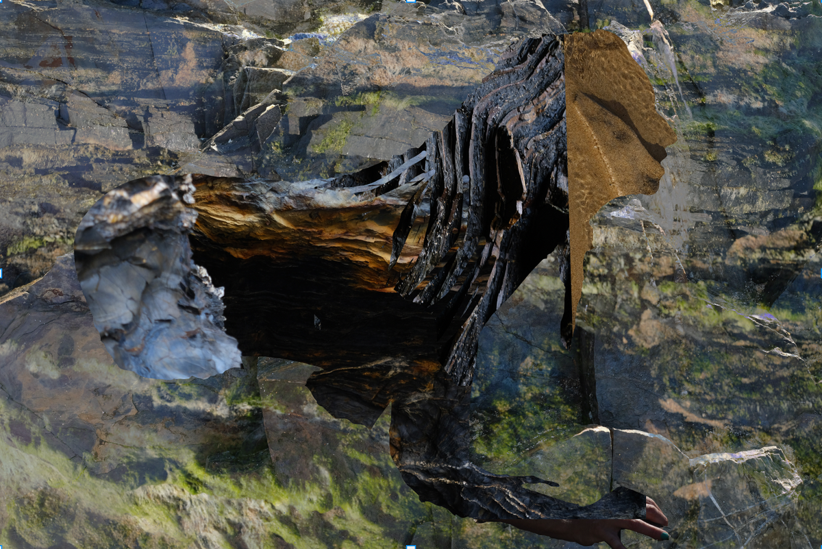 The Voice of Images: A Sensory Album