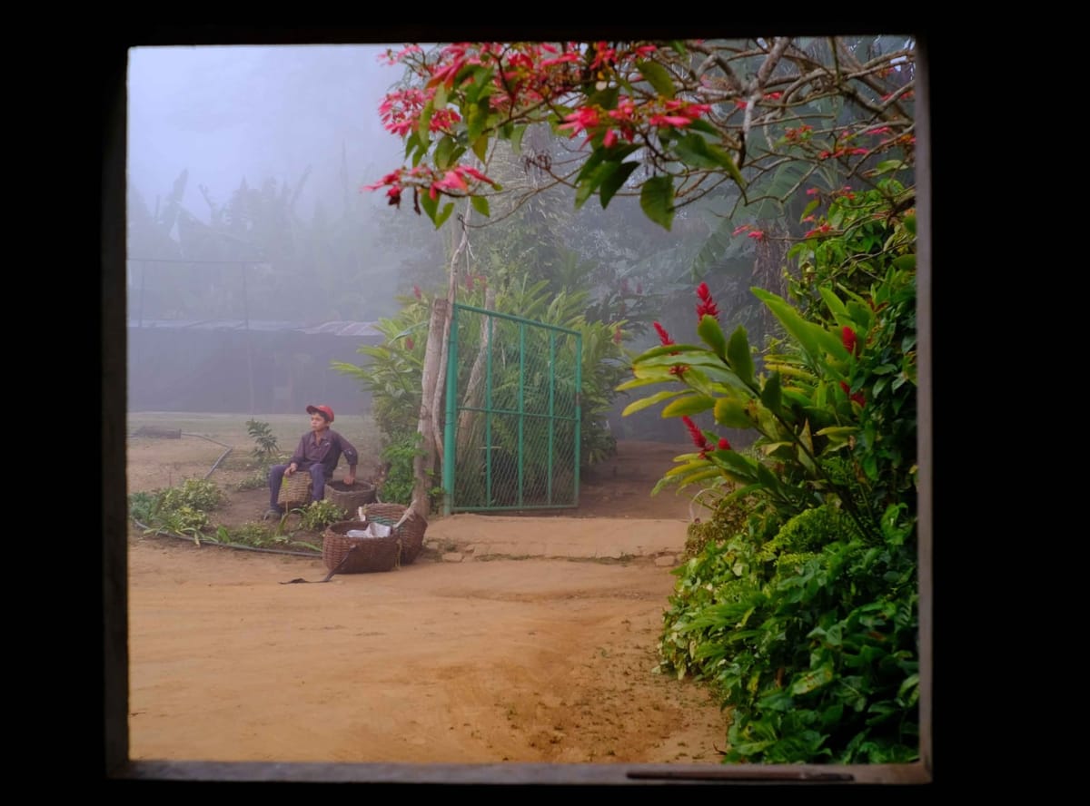 Resilient Seeds of Venezuela